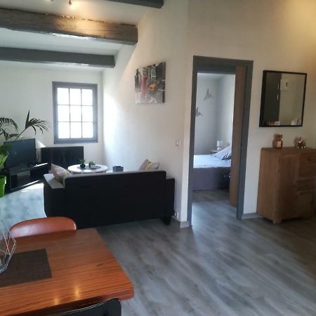 ناربون Appartement "Le Passage" 50 Passage De L'Ancien Courrier المظهر الخارجي الصورة